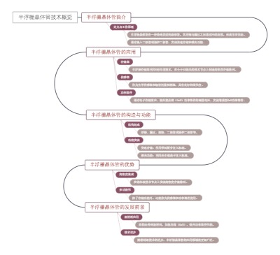 半浮栅晶体管技术概览