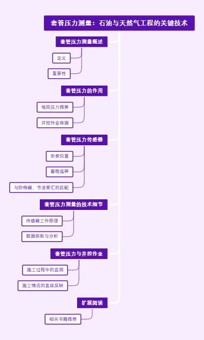 套管压力测量：石油与天然气工程的关键技术