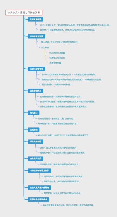 灾后恢复：重建与可持续发展