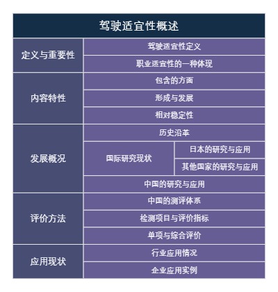 驾驶适宜性概述