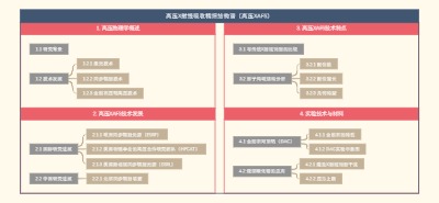 高压X射线吸收精细结构谱（高压XAFS）