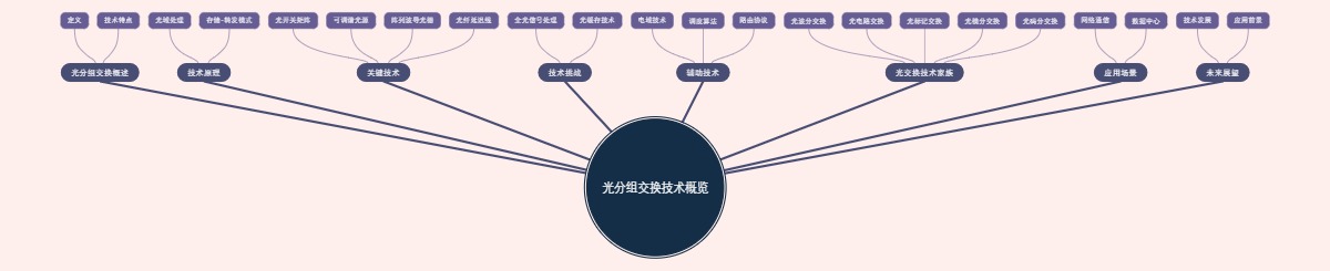 光分组交换技术概览