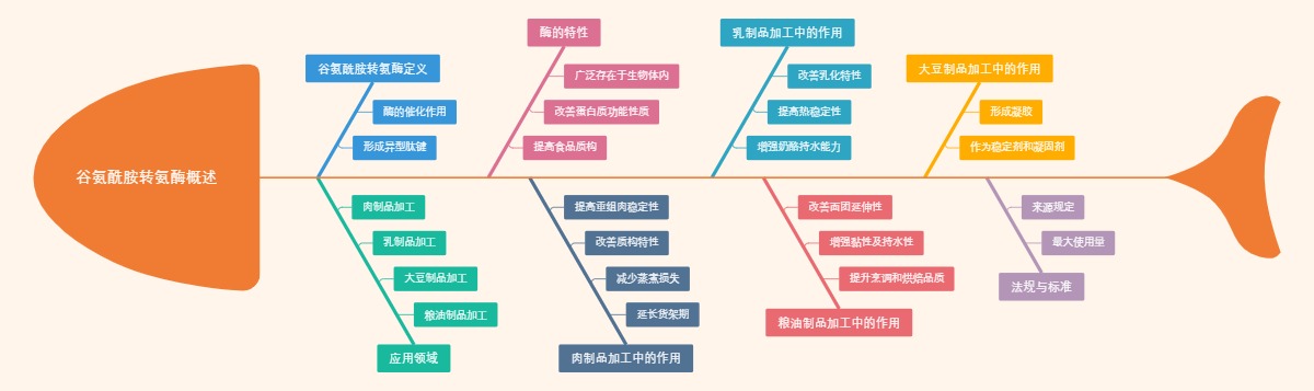 谷氨酰胺转氨酶概述