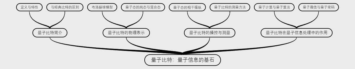 量子比特：量子信息的基石
