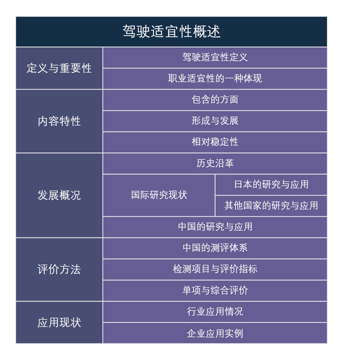 驾驶适宜性概述