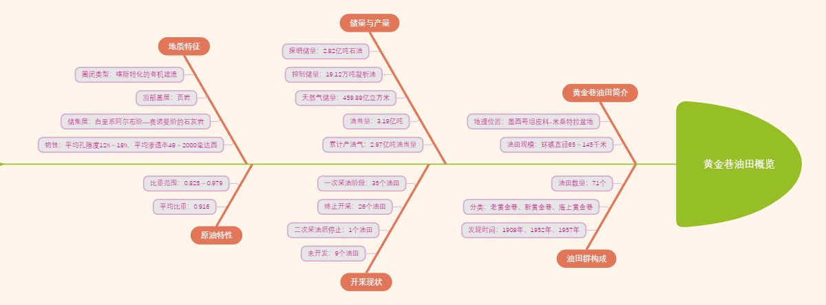 黄金巷油田概览