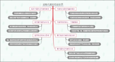动物代谢的奇妙世界