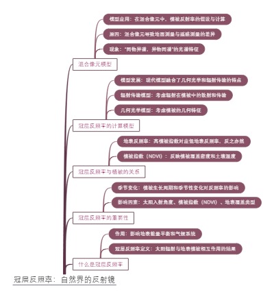 冠层反照率：自然界的反射镜