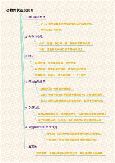 动物网状组织简介