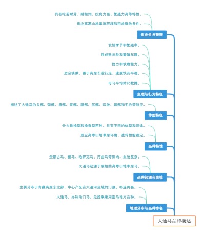 大通马品种概述