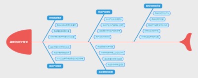 奥地利林业概览
