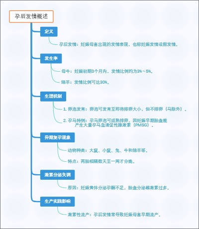 孕后发情概述