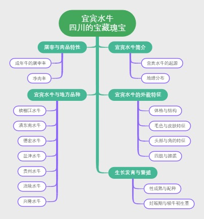 宜宾水牛：四川的宝藏瑰宝