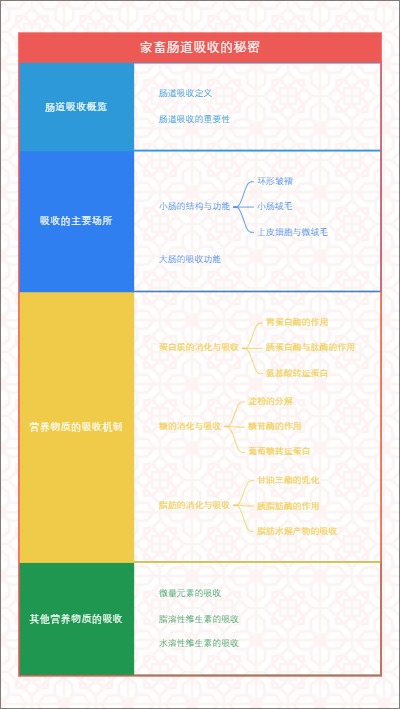 家畜肠道吸收的秘密