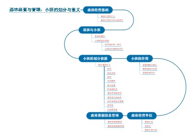 森林经营与管理：小班的划分与意义