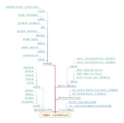 小麦霜冻：农业的挑战与应对