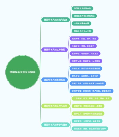 德国牧羊犬的全面解读