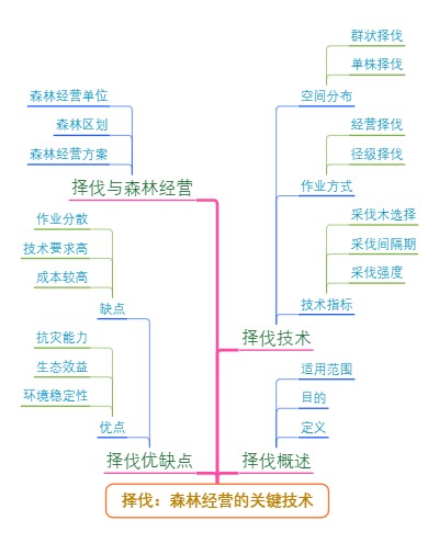 择伐：森林经营的关键技术