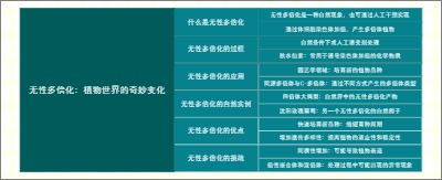 无性多倍化：植物世界的奇妙变化
