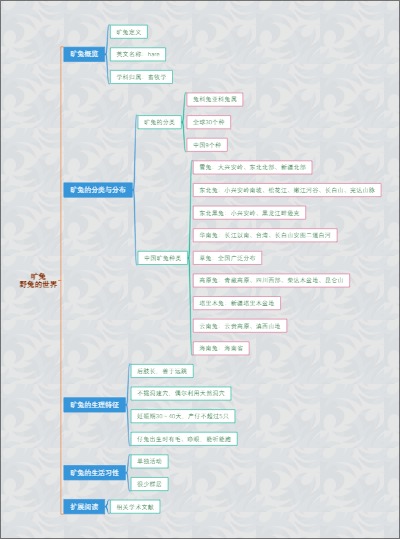 旷兔：野兔的世界