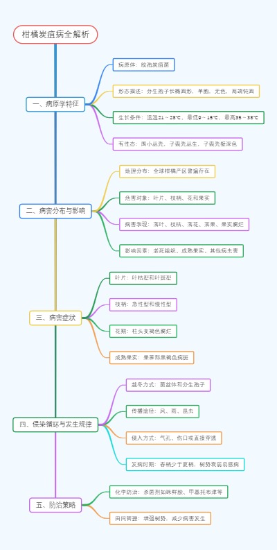 柑橘炭疽病全解析