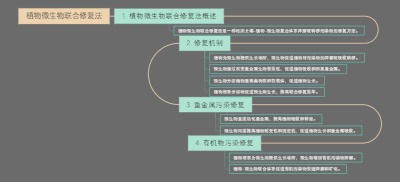 植物微生物联合修复法