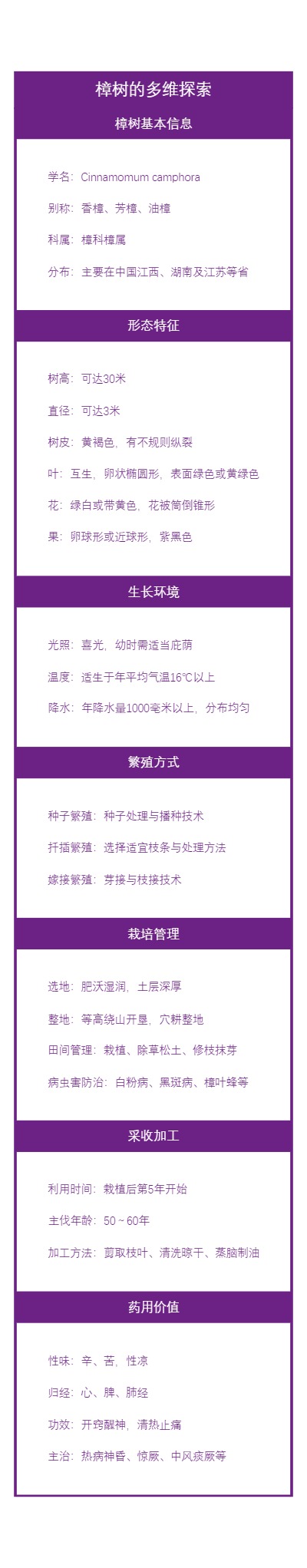 樟树的多维探索