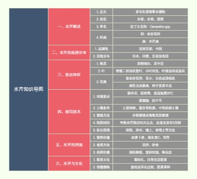 水芹知识导图