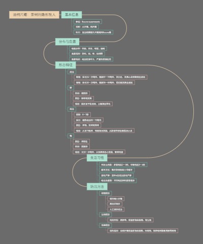 油桐尺蠖：茶树的隐形敌人
