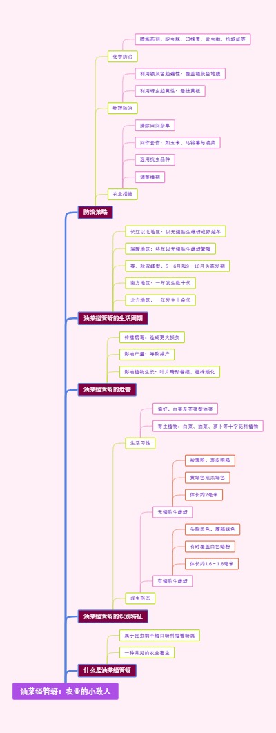 油菜缢管蚜：农业的小敌人