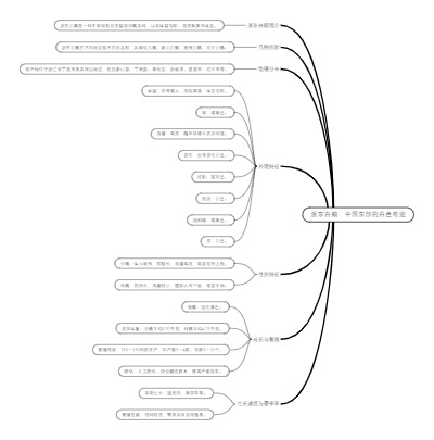 浙东白鹅：中国东部的白色奇迹