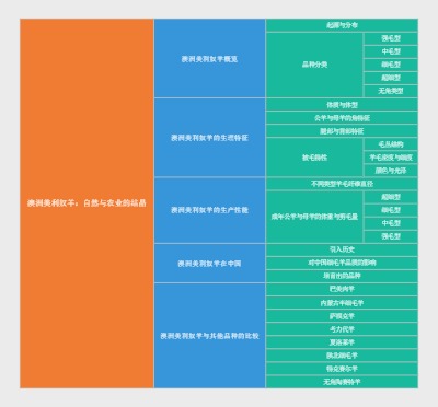澳洲美利奴羊：自然与农业的结晶