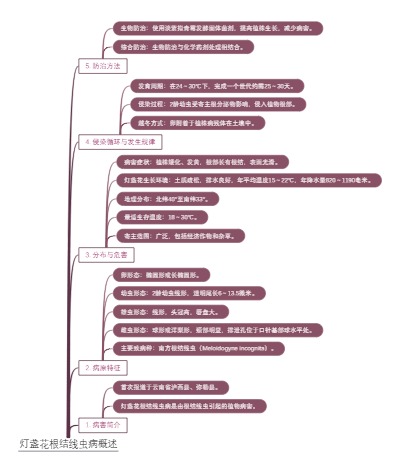 灯盏花根结线虫病概述