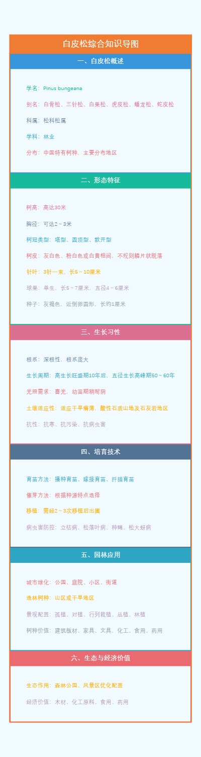 白皮松综合知识导图