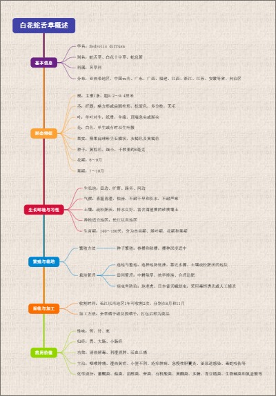 白花蛇舌草概述