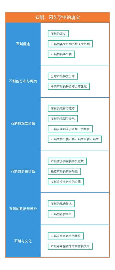 石斛：园艺学中的瑰宝