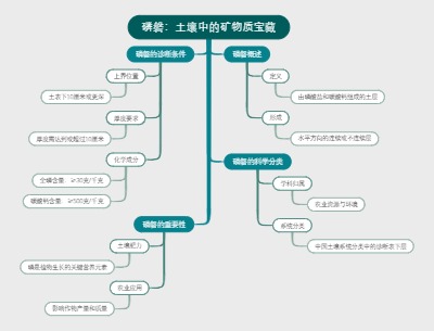 磷磐：土壤中的矿物质宝藏