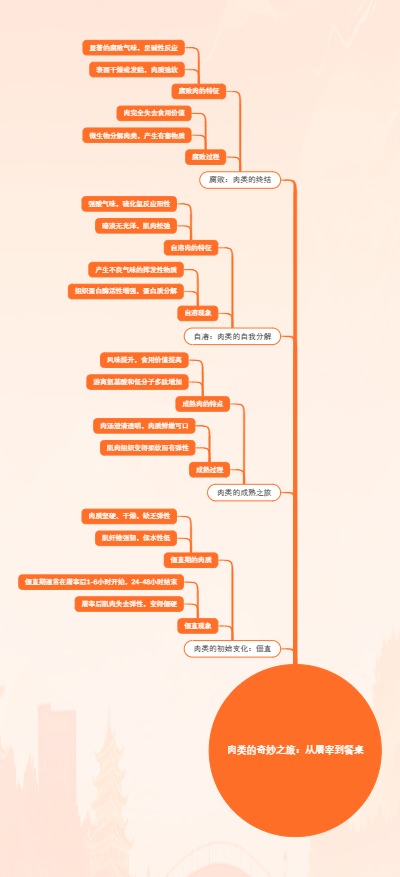 肉类的奇妙之旅：从屠宰到餐桌