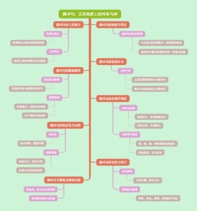 腾冲马：云南高原上的传奇马种