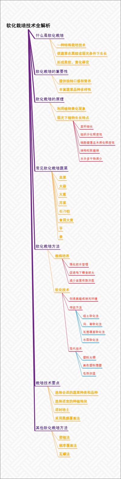 软化栽培技术全解析