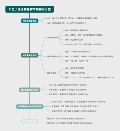阳离子通道的生物学功能与分类