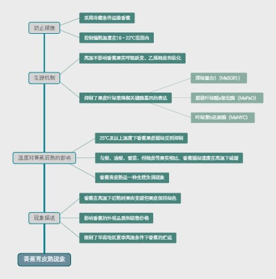 香蕉青皮熟现象