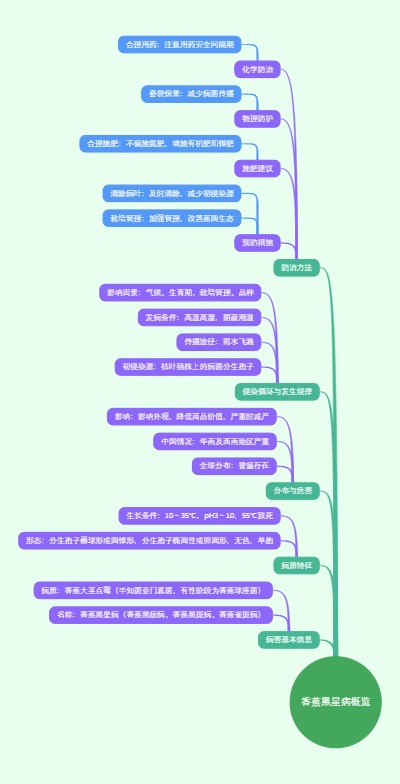 香蕉黑星病：一种影响香蕉健康的真菌病害