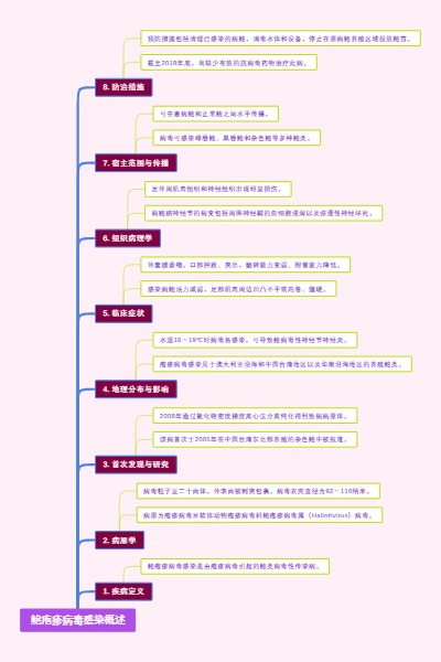 鲍疱疹病毒感染概述