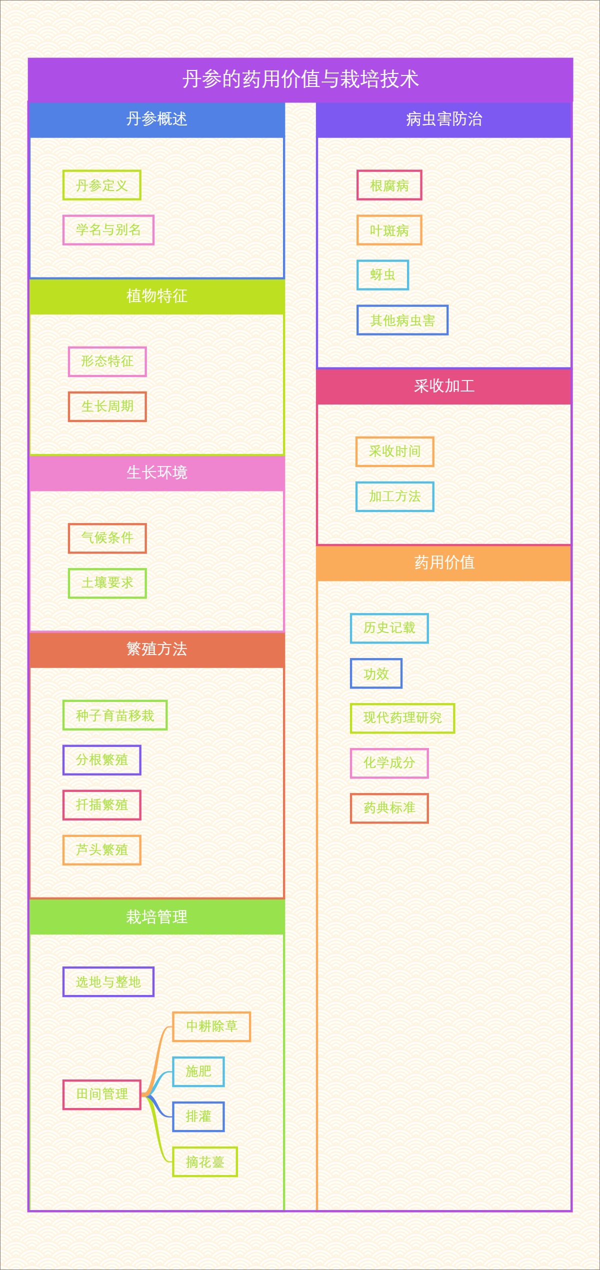 丹参的药用价值与栽培技术