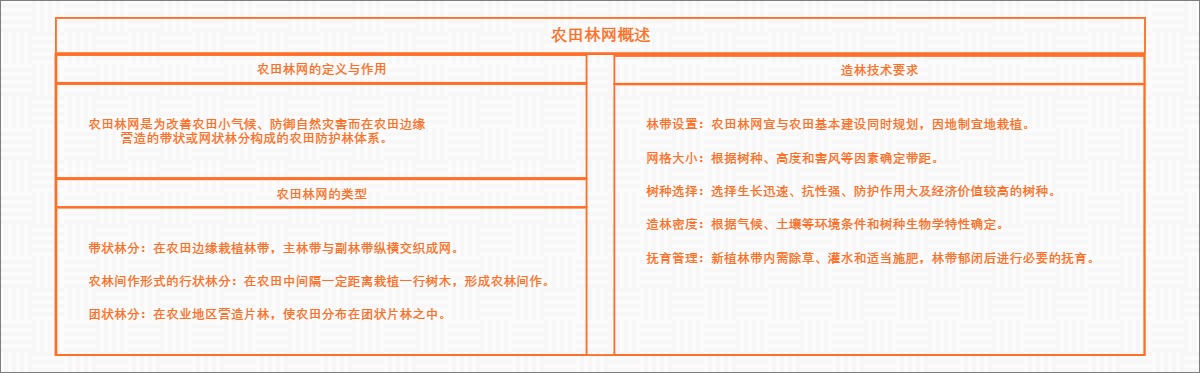 农田林网概述