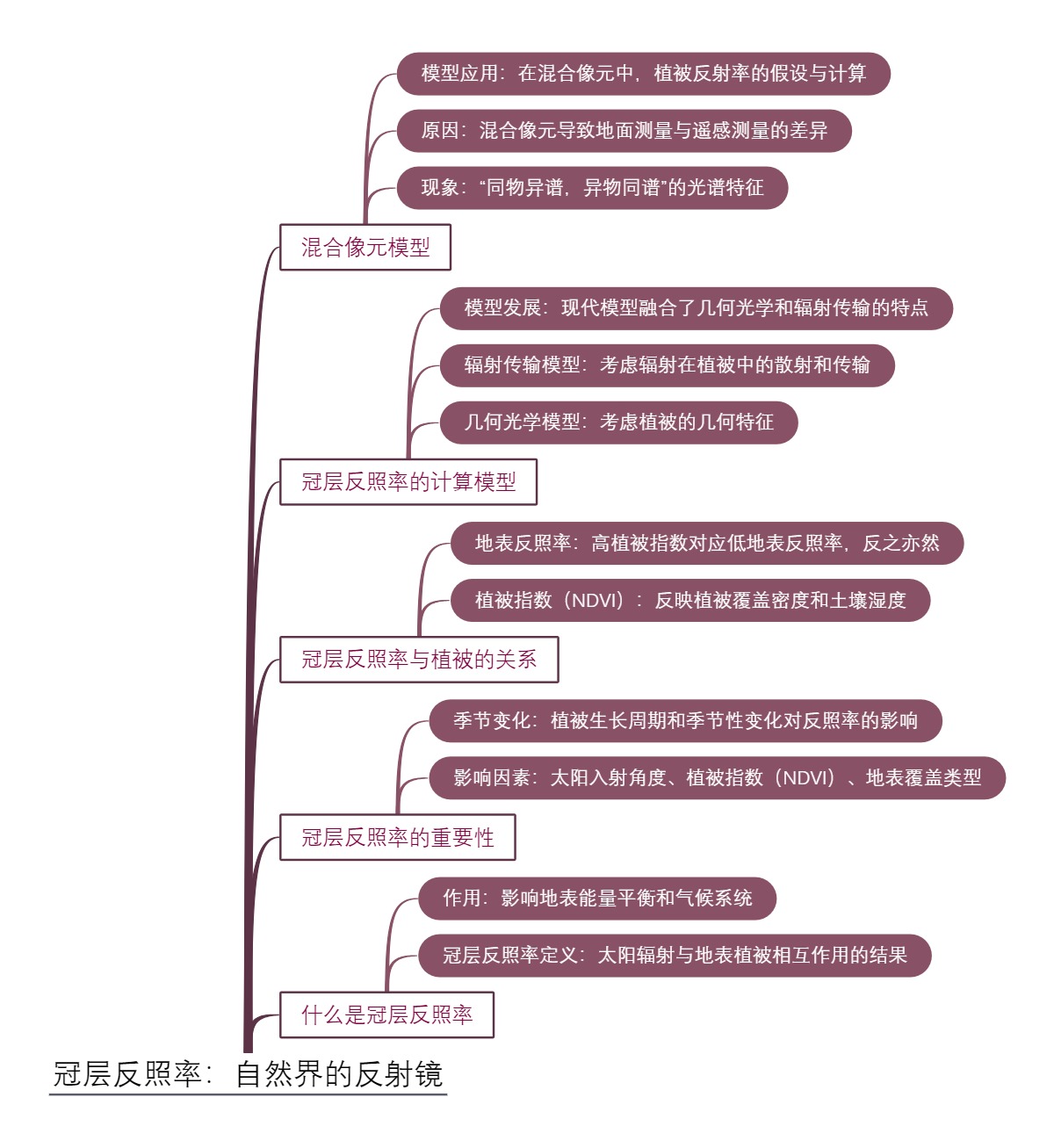冠层反照率：自然界的反射镜