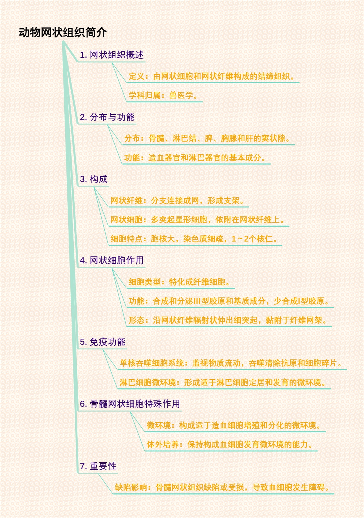 动物网状组织简介