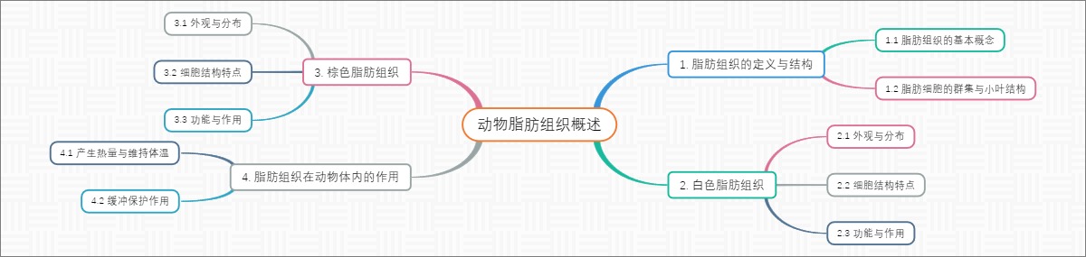 动物脂肪组织概述