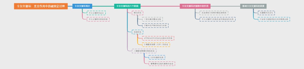 卡尔文循环：光合作用中的碳固定过程